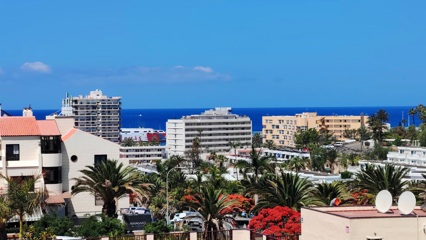 El-Mirador Los Cristianos (1 bedroom)